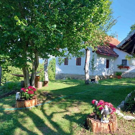 Etno Guest House Lalovic Тиентище Екстериор снимка