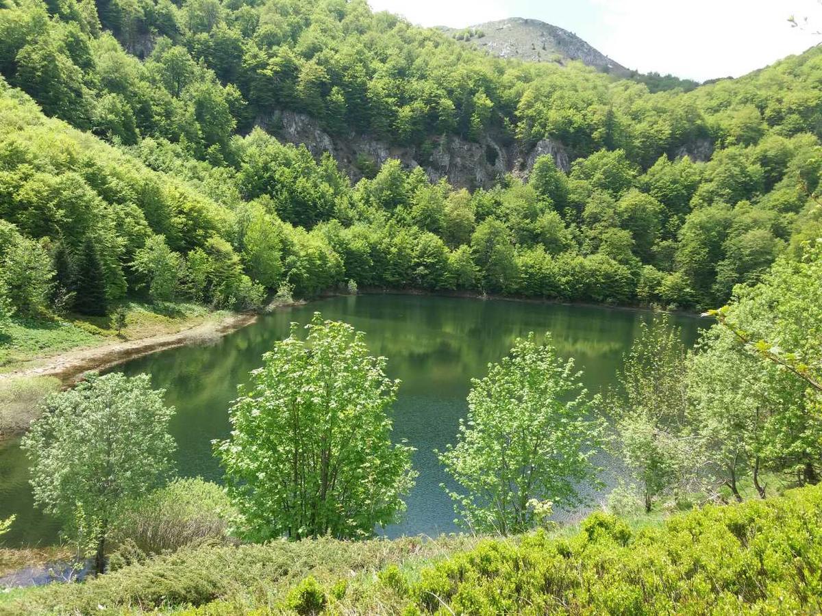 Etno Guest House Lalovic Тиентище Екстериор снимка