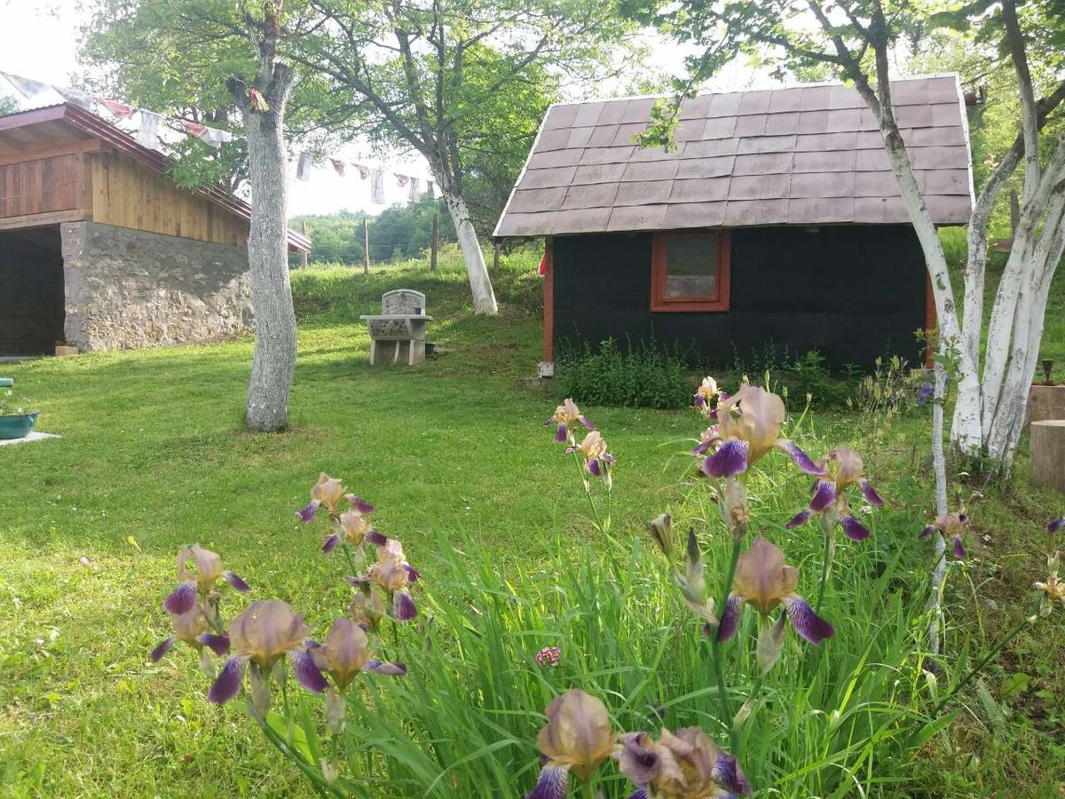 Etno Guest House Lalovic Тиентище Екстериор снимка