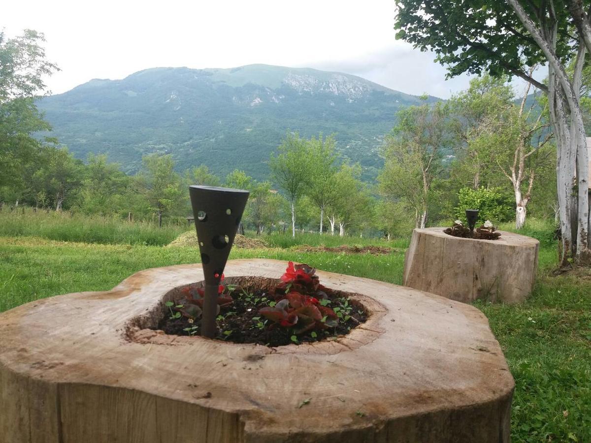 Etno Guest House Lalovic Тиентище Екстериор снимка