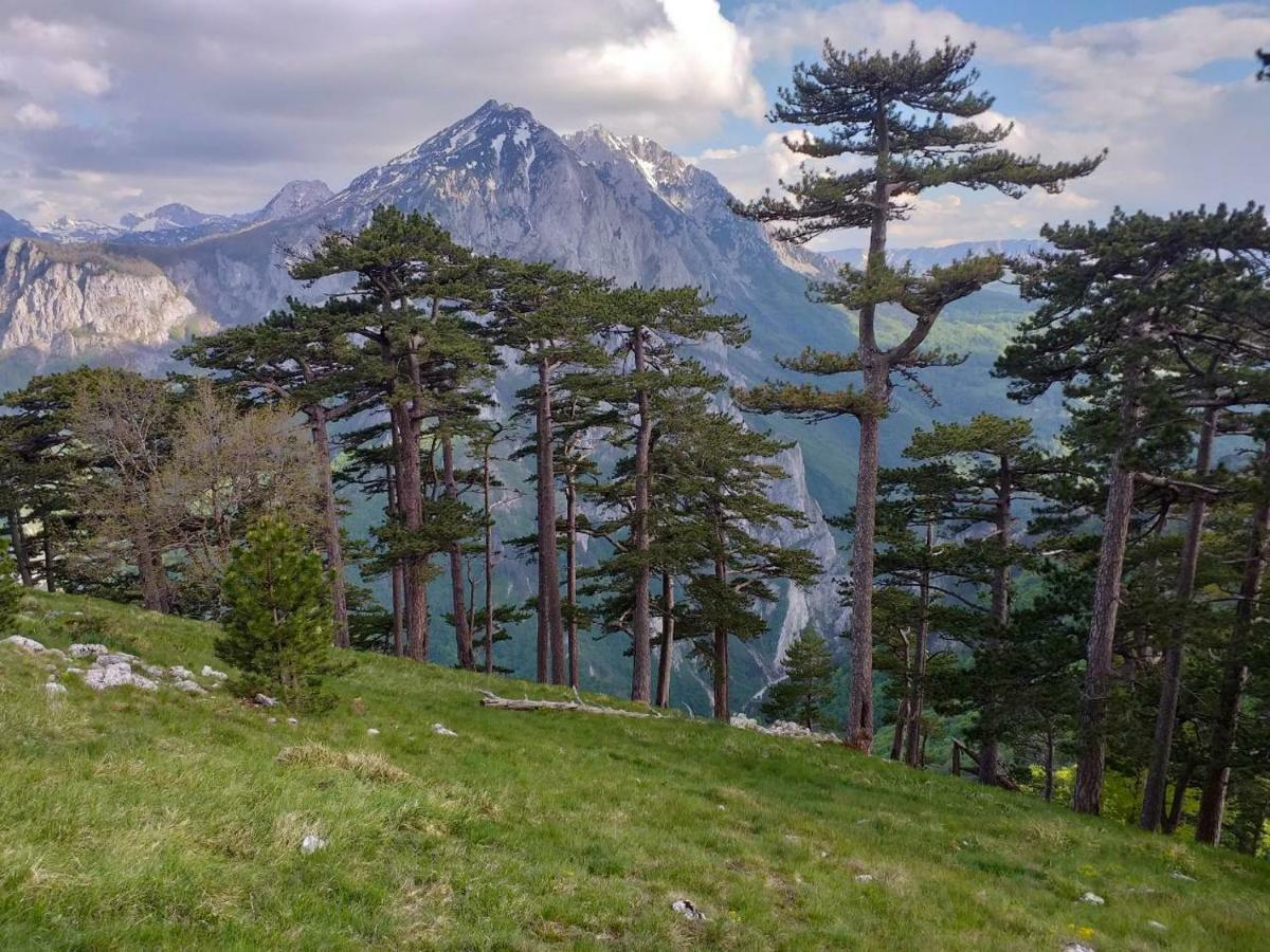 Etno Guest House Lalovic Тиентище Екстериор снимка